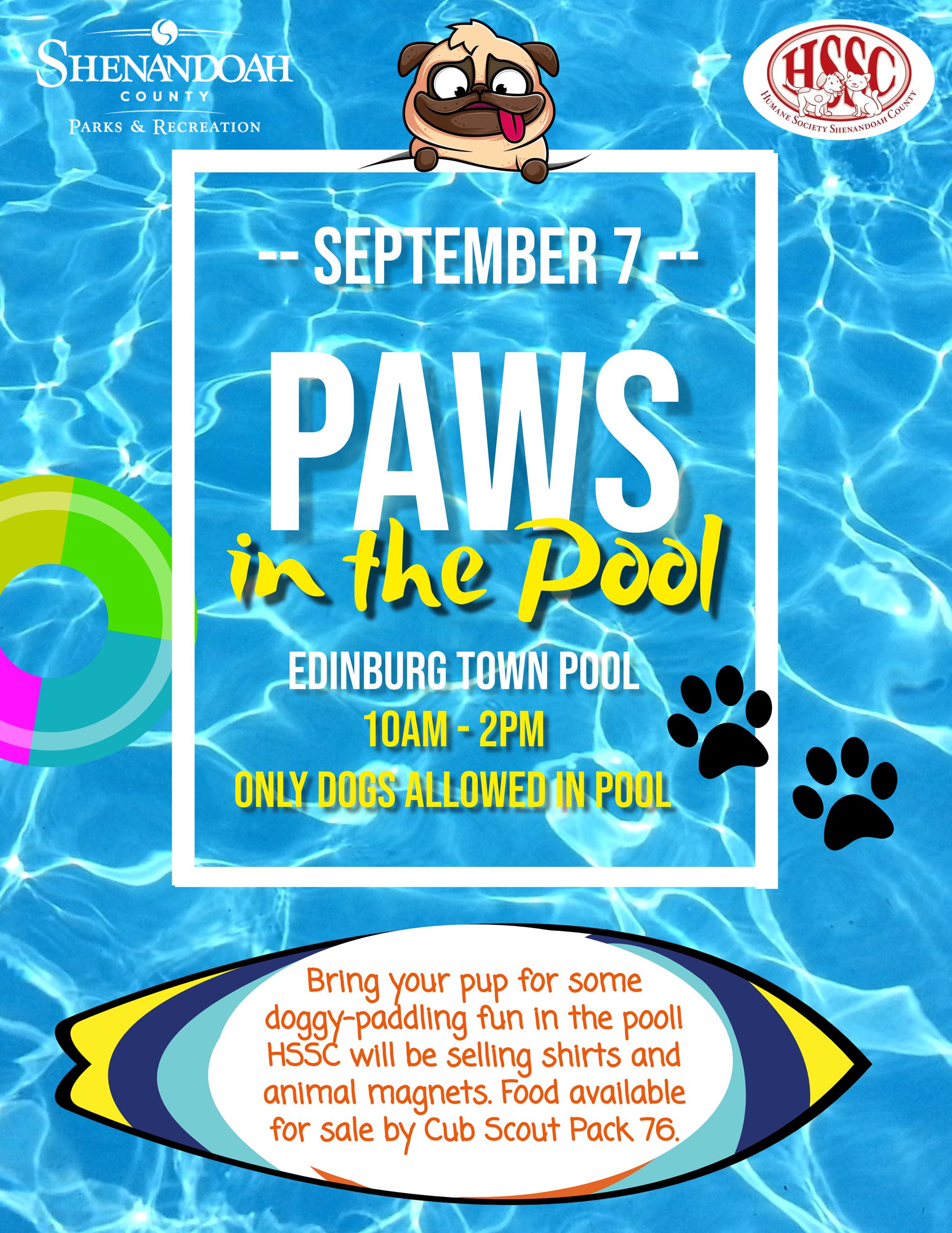 Paws in the Pool 2024